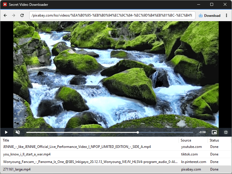 Secret Video Downloader